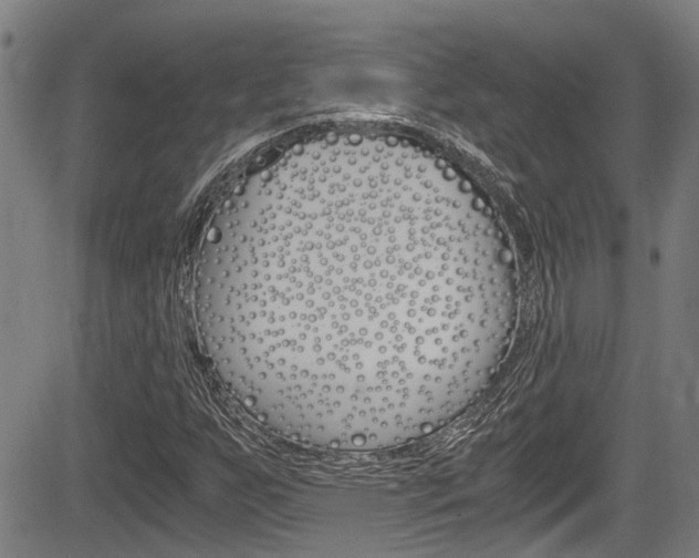 X0000084011255200702160816