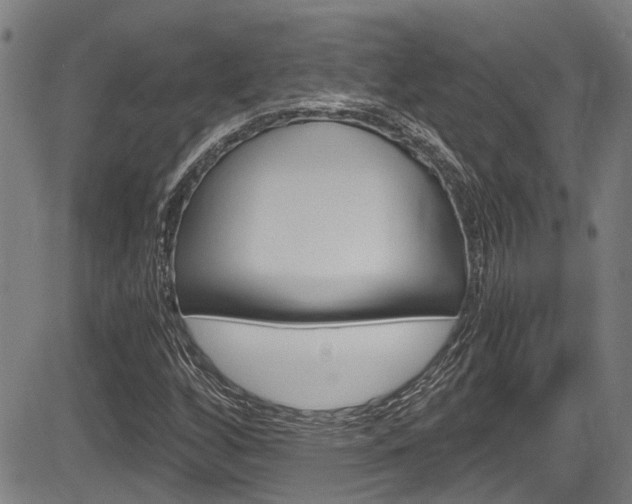 X0000084011256200702160816