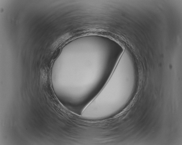 X0000084011257200702160816