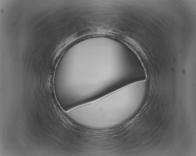 X0000084011260200702160816