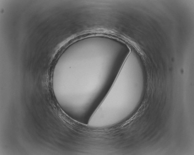 X0000084011264200702160816