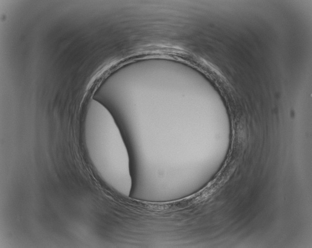 X0000084011267200702160816