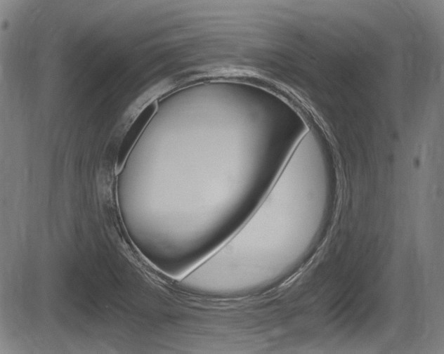 X0000084011273200702160816