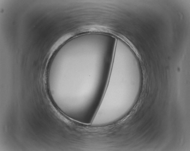 X0000084011285200702160816