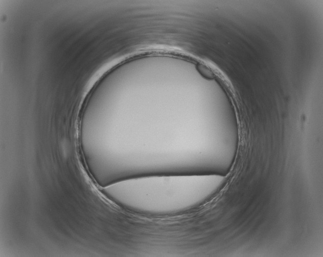 X0000084011287200702160816