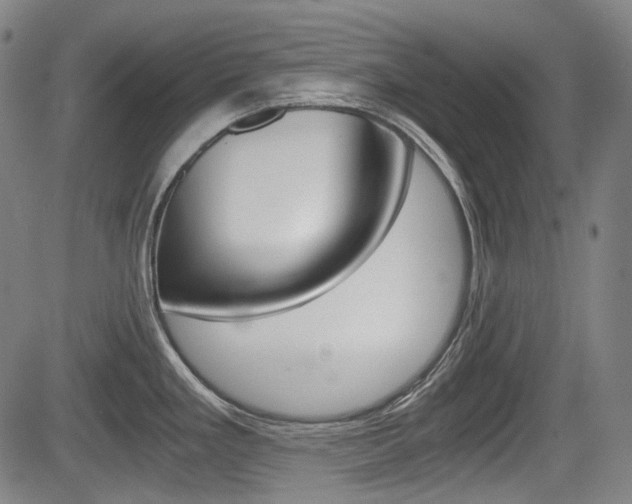 X0000084011293200702160815