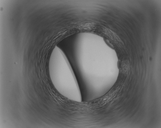 X0000084011297200702160815