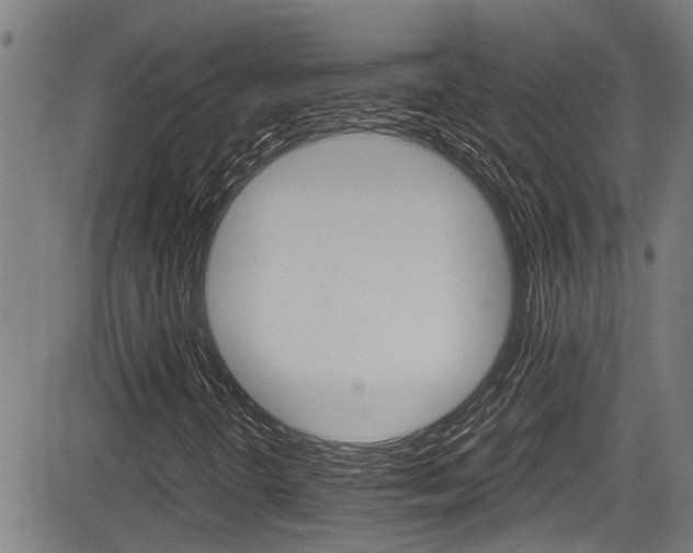 X0000084011298200702160815