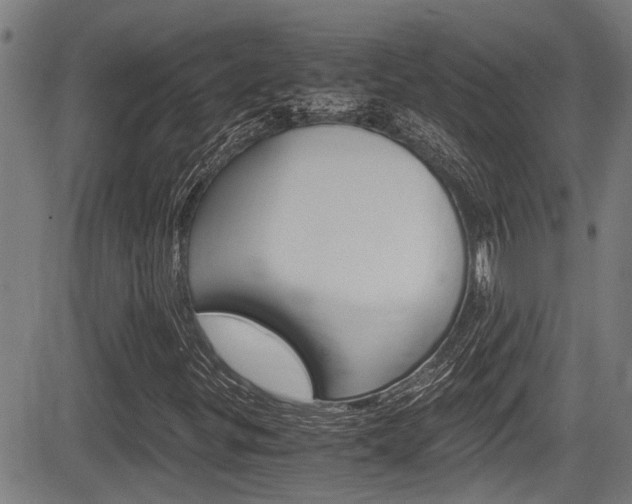 X0000084011299200702160815