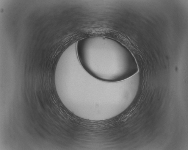 X0000084011300200702160815