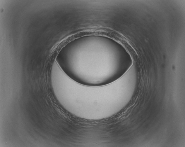 X0000084011304200702160815