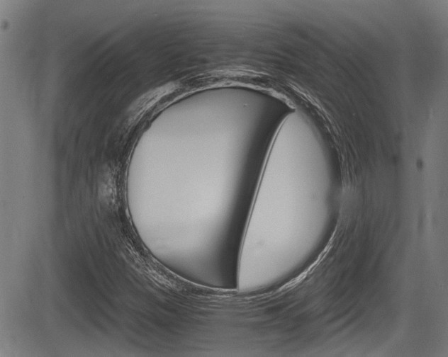 X0000084011305200702160815