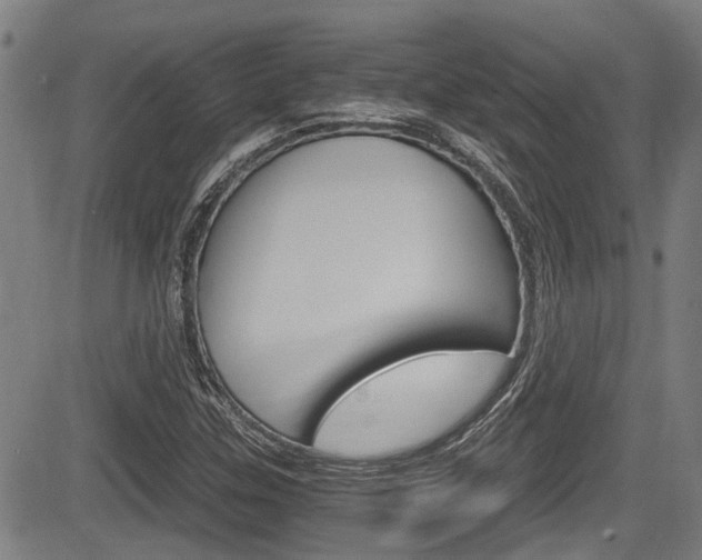 X0000084011307200702160815