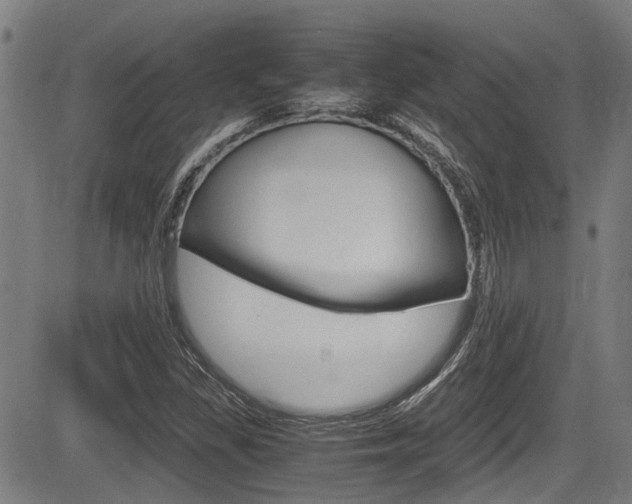 X0000084011309200702160815