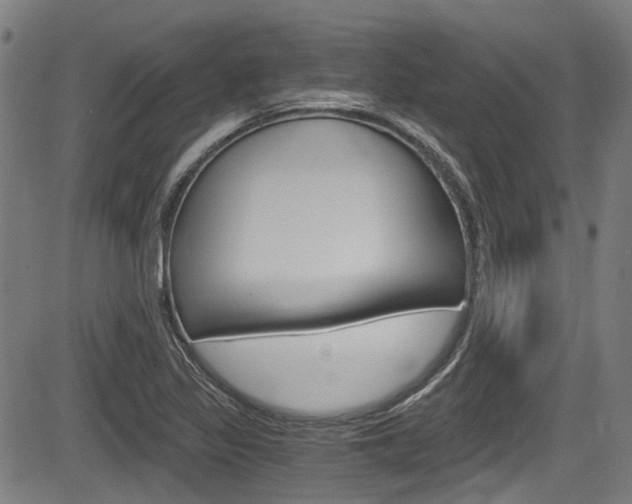 X0000084011317200702160815