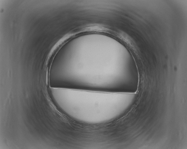 X0000084011323200702160815