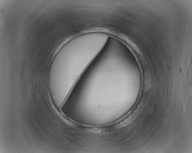 X0000084011329200702160815
