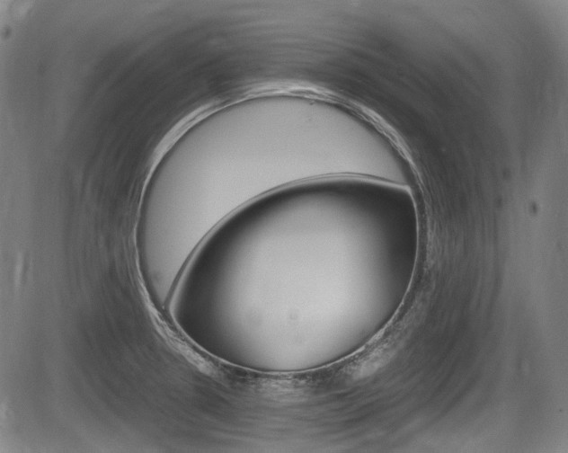 X0000084011330200702160815