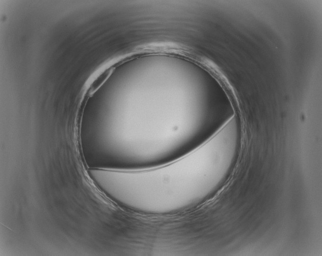 X0000084011336200702160815