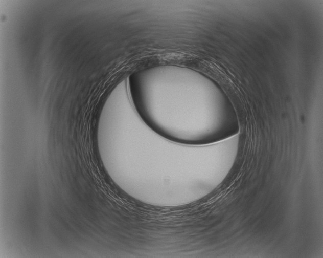 X0000084011345200702160815