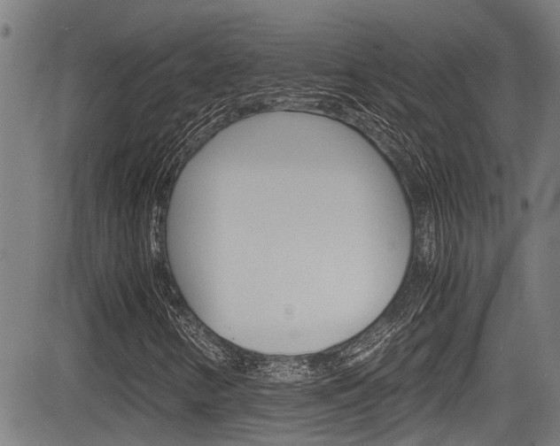 X0000084011346200702160815