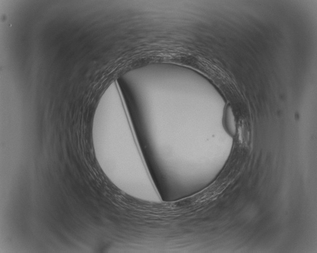 X0000084011347200702160815