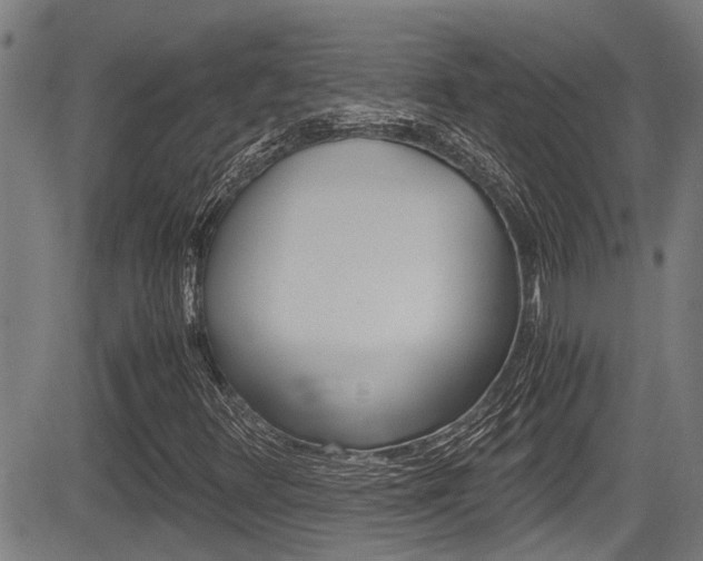 X0000084011348200702160815