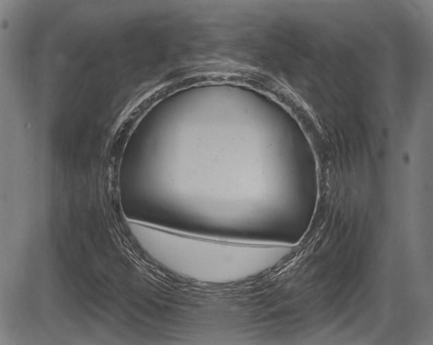 X0000084011352200702160814