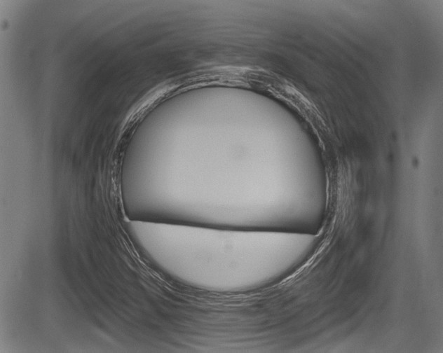 X0000084011354200702160814