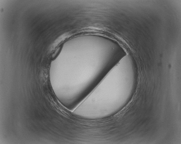 X0000084011355200702160814