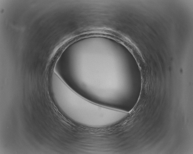 X0000084011360200702160814