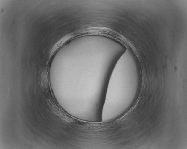 X0000084011362200702160814