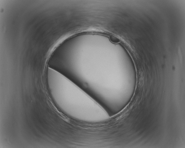 X0000084011367200702160814