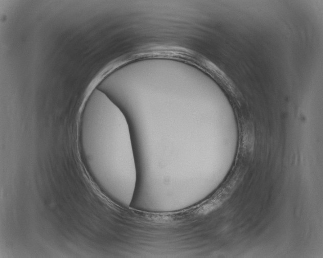 X0000084011370200702160814