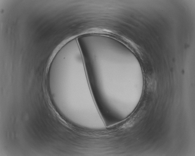 X0000084011371200702160814