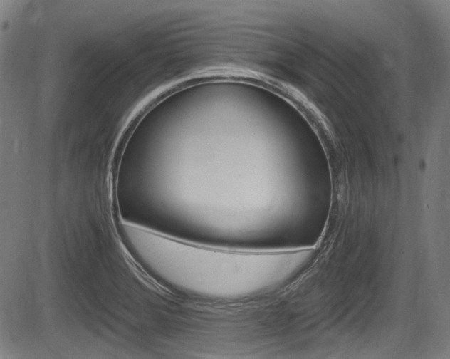 X0000084011372200702160814
