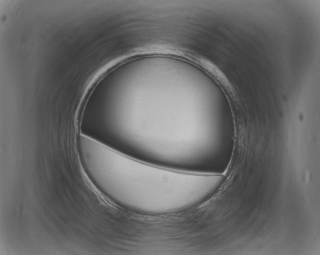 X0000084011380200702160814