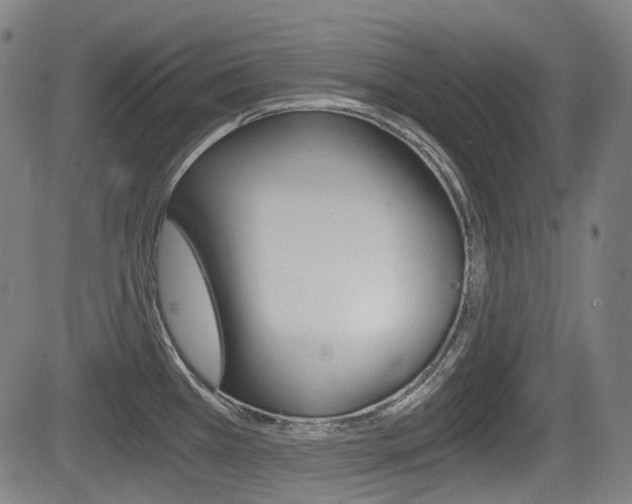 X0000084011385200702160814