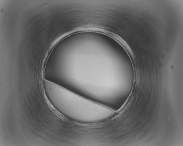 X0000084011388200702160814