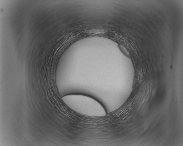 X0000084011393200702160813