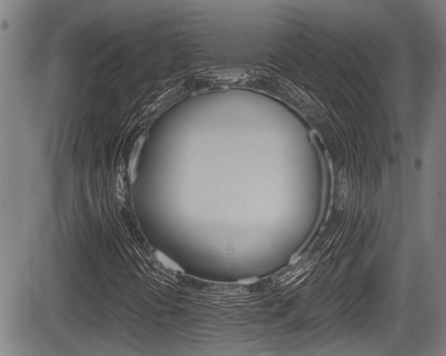 X0000084011394200702160813