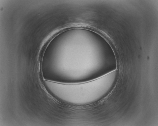 X0000084011414200702160813