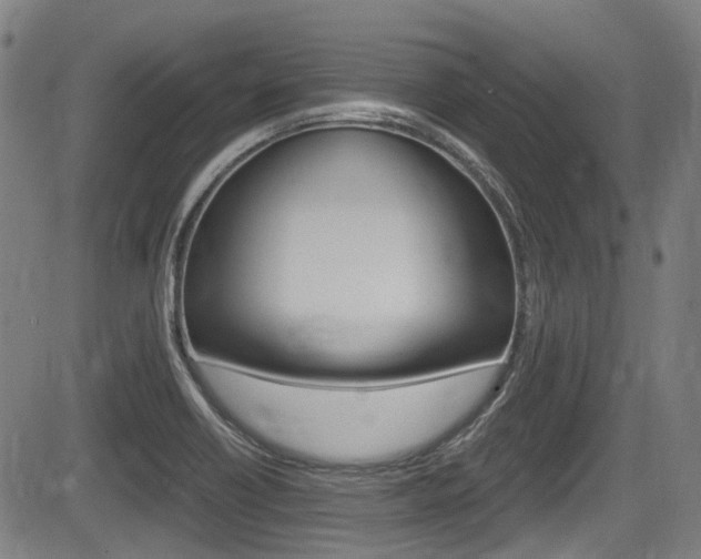 X0000084011418200702160813