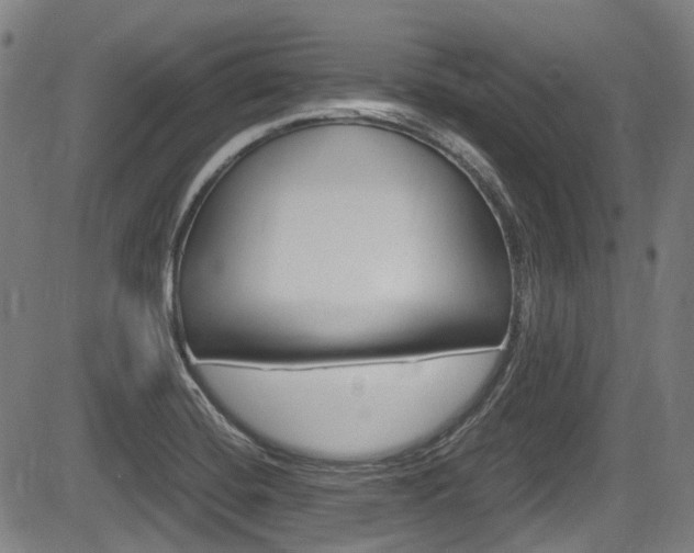 X0000084011420200702160813