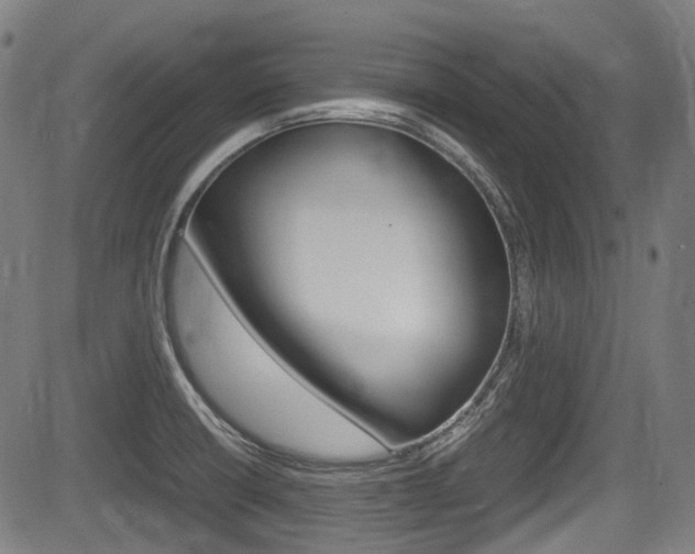 X0000084011426200702160814