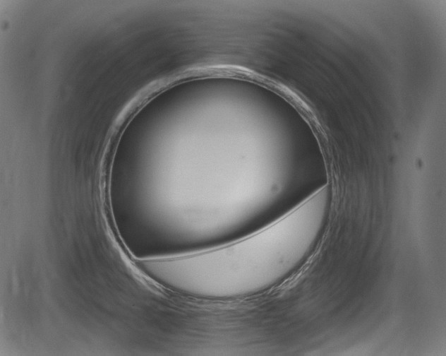X0000084011430200702160814