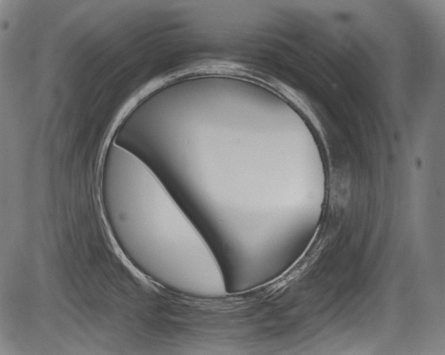 X0000084011437200702160814