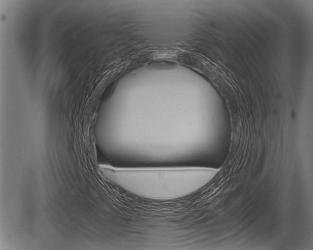 X0000084011441200702160813
