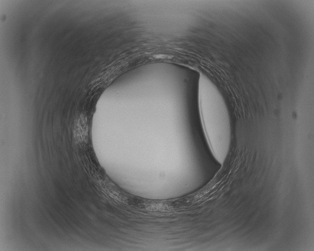 X0000084011443200702160813