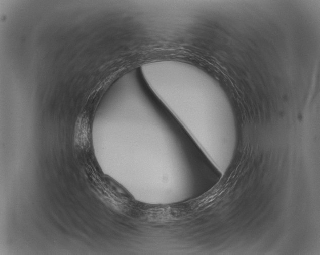 X0000084011444200702160813